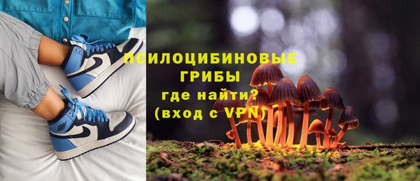 ALPHA PVP Кулебаки