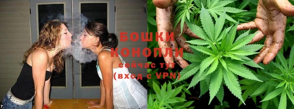 индика Краснотурьинск