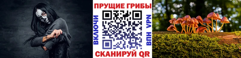 Купить закладки  Очёр  Галлюциногенные грибы прущие грибы 